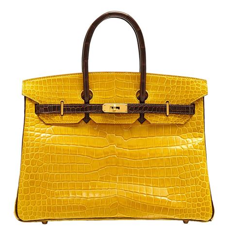 hermes kelly bag yellow|Hermes Kelly Bag crocodile.